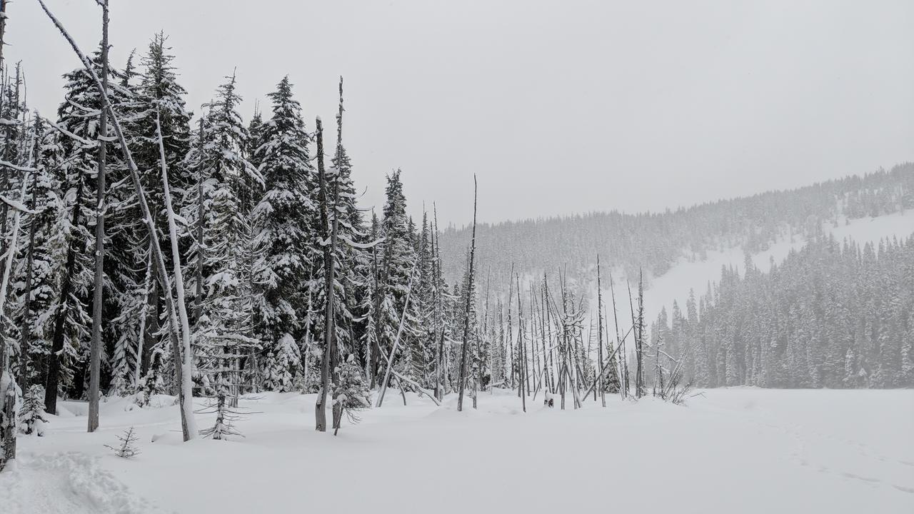 White Pass Log Cabin Luxury Retreat Rimrock Extérieur photo